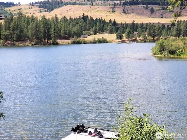 water view featuring a forest view