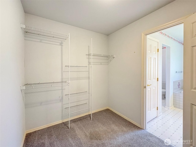 462 E Runnion, Sequim, WA 98382 - spacious closet featuring carpet