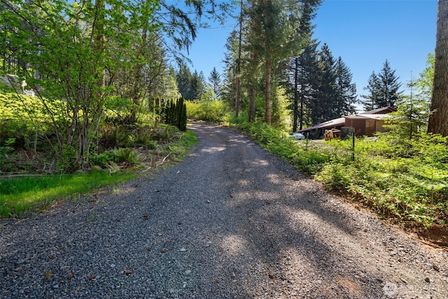 27406 NE 65th St, Camas, WA 98607 - view of road