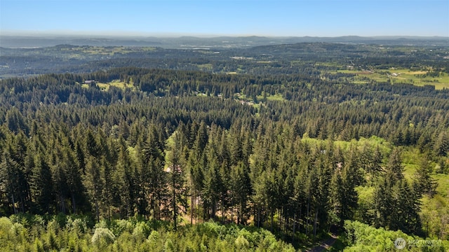 27406 NE 65th St, Camas, WA 98607 - aerial overview of property's location with a heavily wooded area and a mountainous background