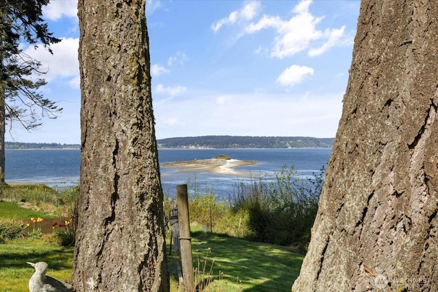 2963 Saratoga Rd, Langley, WA 98260 - water view
