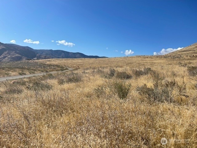 0 Curly Horse Dr, Pateros, WA 98846