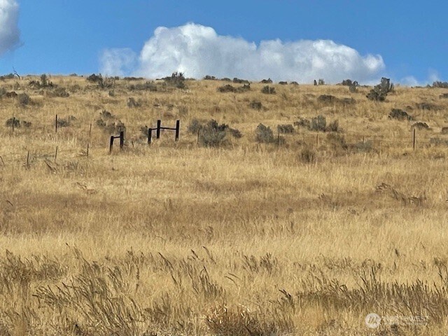 0 Curly Horse Dr, Pateros, WA 98846