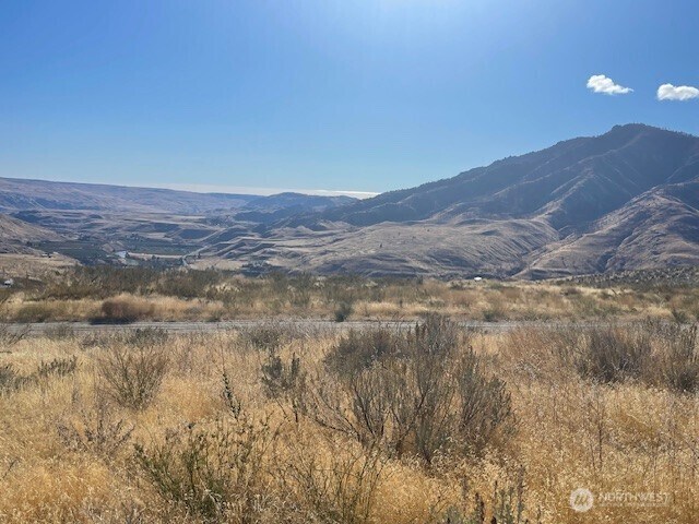 0 Curly Horse Dr, Pateros, WA 98846