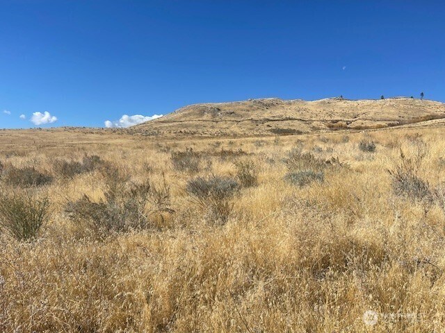 0 Curly Horse Dr, Pateros, WA 98846
