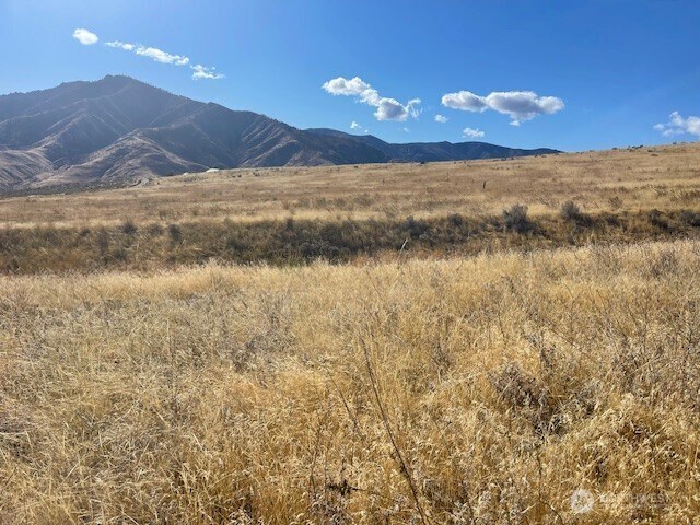 0 Curly Horse Dr, Pateros, WA 98846