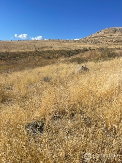 0 Curly Horse Dr, Pateros, WA 98846