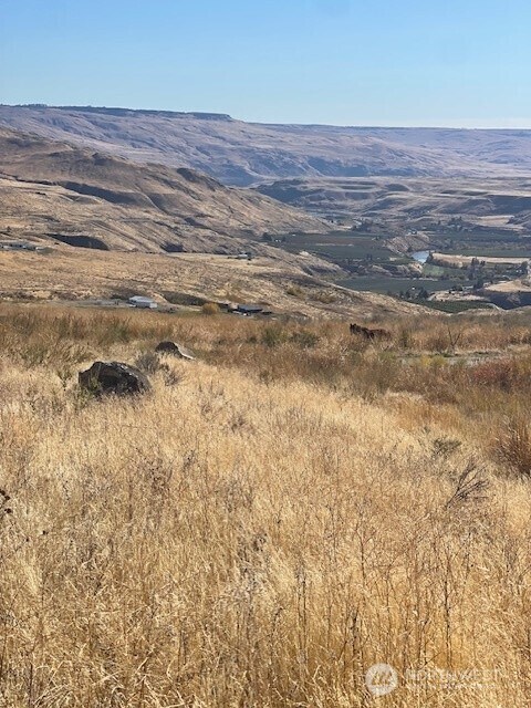 0 Curly Horse Dr, Pateros, WA 98846