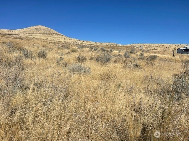 0 Curly Horse Dr, Pateros, WA 98846