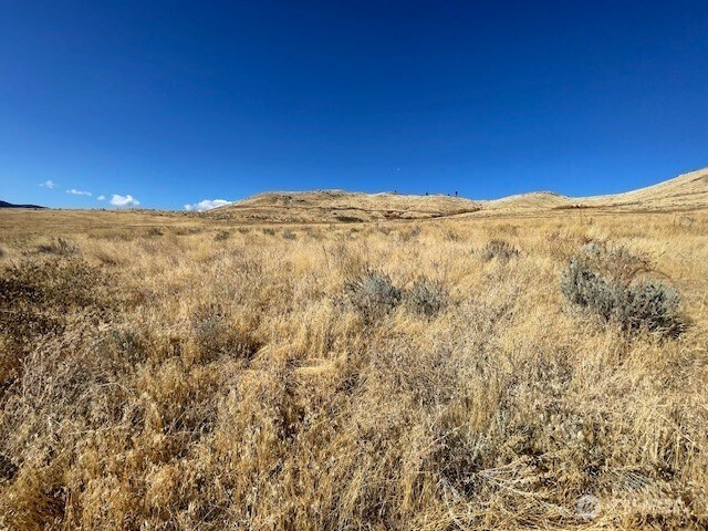 0 Curly Horse Dr, Pateros, WA 98846