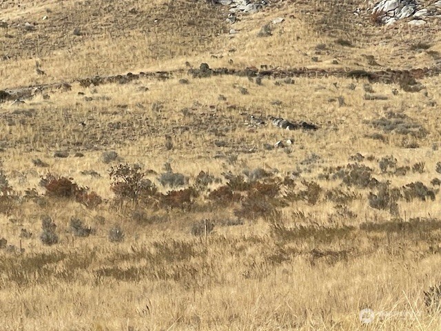 0 Curly Horse Dr, Pateros, WA 98846
