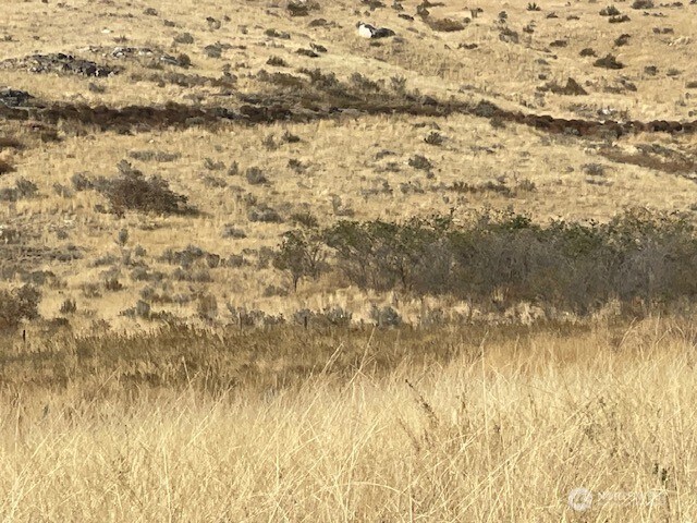 0 Curly Horse Dr, Pateros, WA 98846