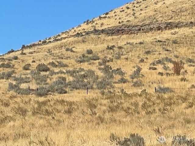 0 Curly Horse Dr, Pateros, WA 98846