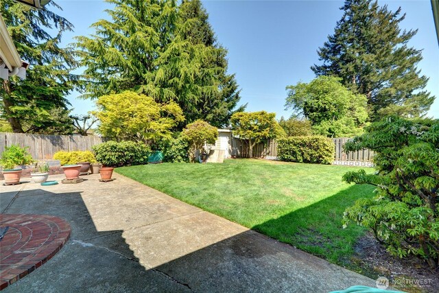 view of yard with a patio area and a fenced backyard