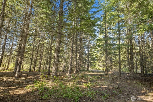 61 Morning Star Ln, Cle Elum, WA 98922