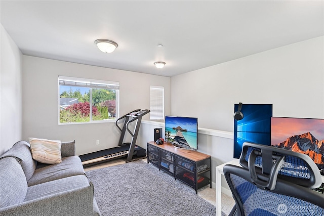 living area with carpet floors and baseboards