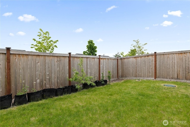 13509 197th St E, Graham, WA 98338 - view of yard