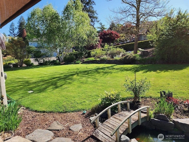 6725 Mirror Ct SE, Olympia, WA 98513 - view of yard