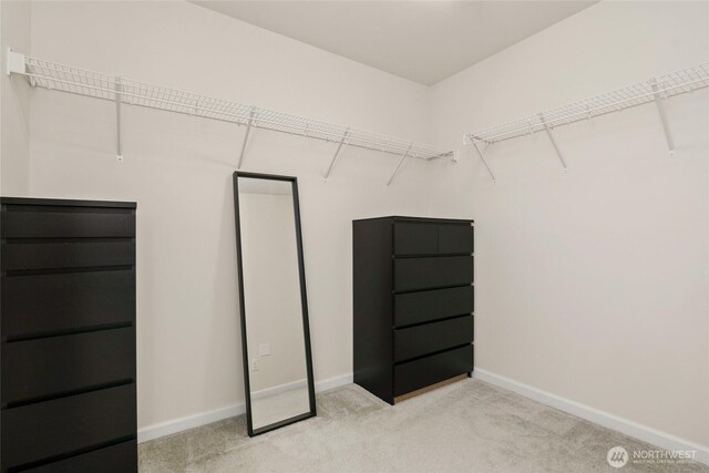 spacious closet with light colored carpet