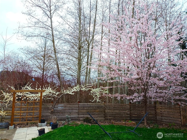 view of yard featuring a fenced backyard