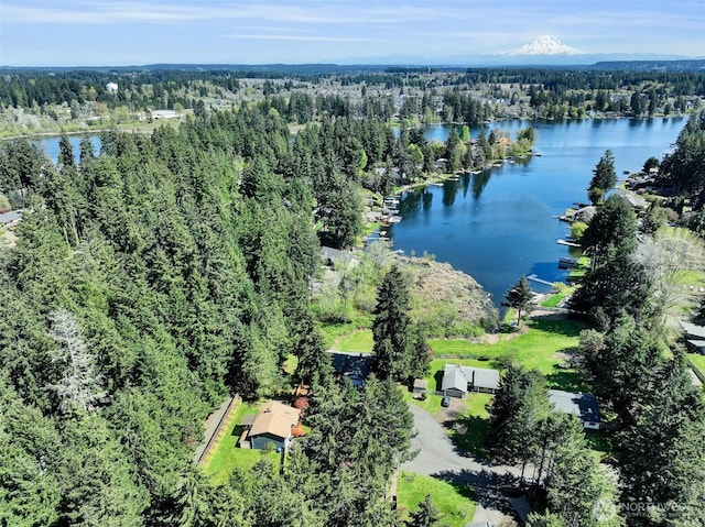 birds eye view of property with a forest view and a water view