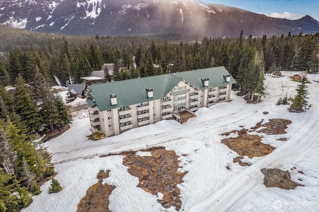 snowy aerial view featuring a mountain view and a forest view
