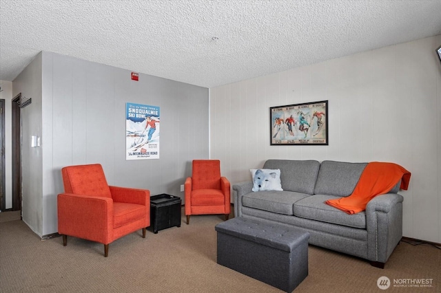 living room with carpet floors and a textured ceiling