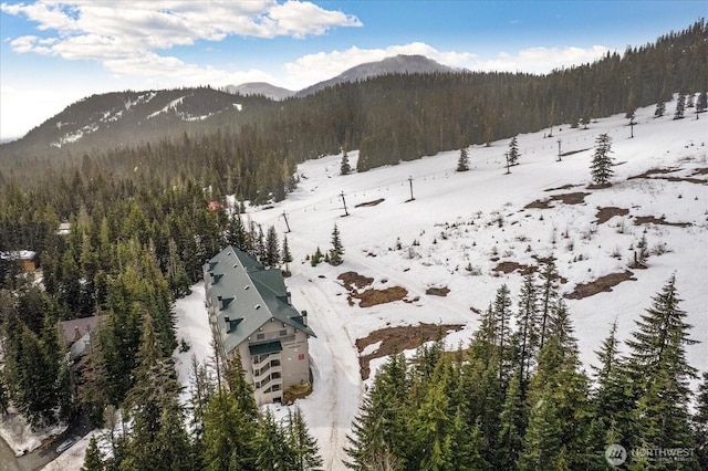 view of mountain feature featuring a wooded view