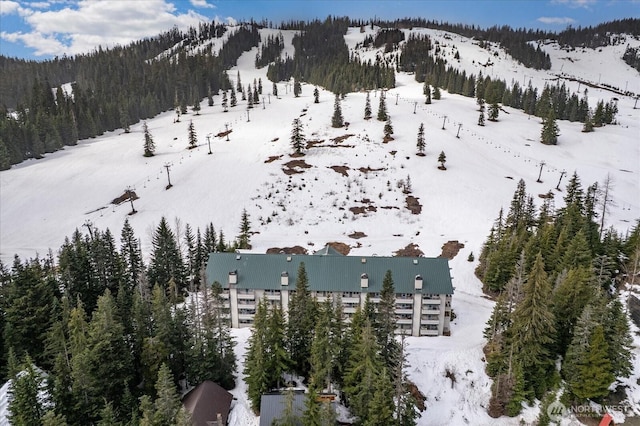 snowy aerial view with a wooded view and a mountain view