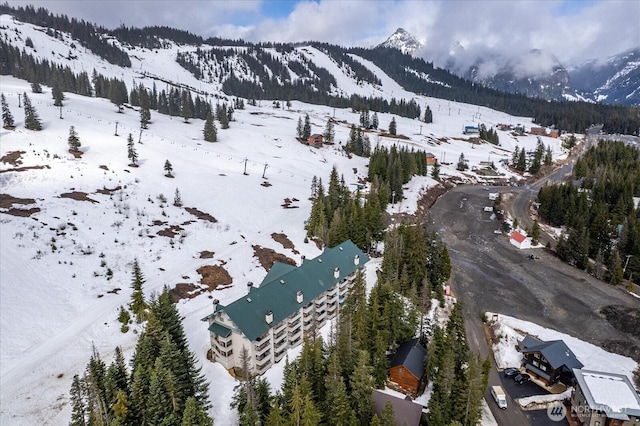 snowy aerial view featuring a mountain view