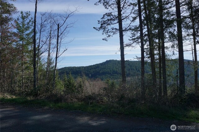 50215 146th Ave E, Eatonville, WA 98328