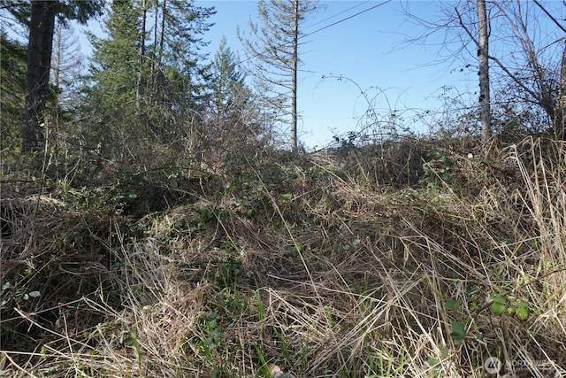 50215 146th Ave E, Eatonville, WA 98328