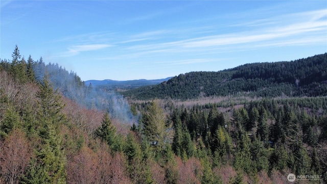 50215 146th Ave E, Eatonville, WA 98328