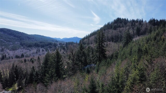50215 146th Ave E, Eatonville, WA 98328