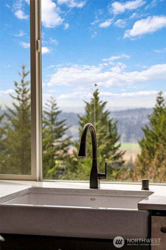 17908 NE 391st St, Amboy, WA 98601 - interior details with a sink