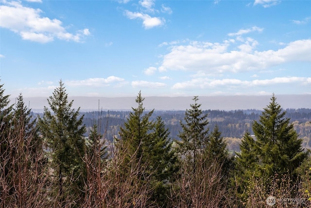 17908 NE 391st St, Amboy, WA 98601 - view of mountain feature with a view of trees