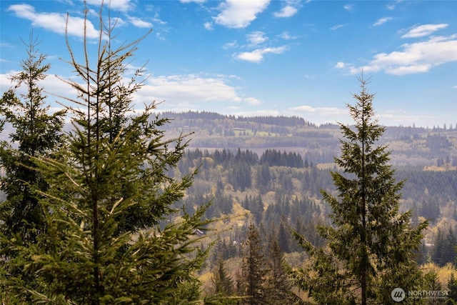 17908 NE 391st St, Amboy, WA 98601 - property view of mountains with a forest view