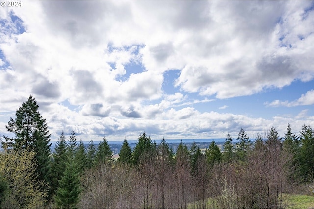 17908 NE 391st St, Amboy, WA 98601 - view of local wilderness