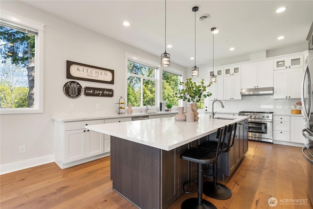kitchen with under cabinet range hood, a healthy amount of sunlight, a sink, and stainless steel range
