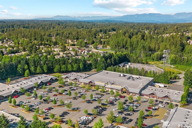 bird's eye view of a forest and a mountain backdrop