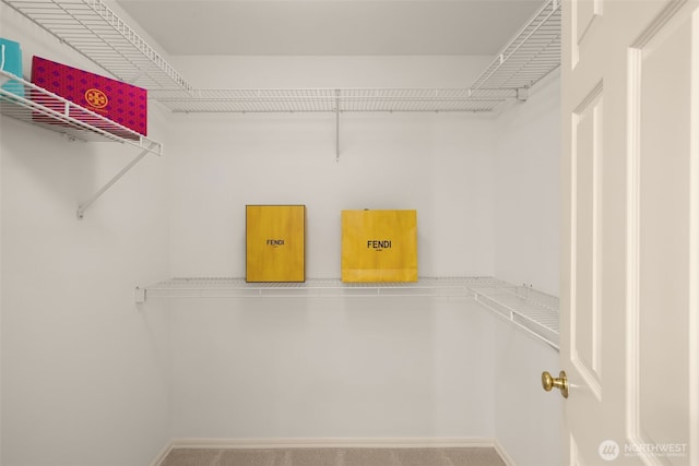 view of spacious closet