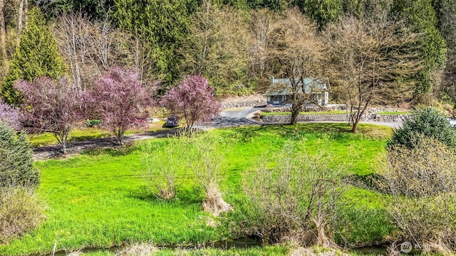 4723 Parker Rd E, Sumner, WA 98390 - view of yard