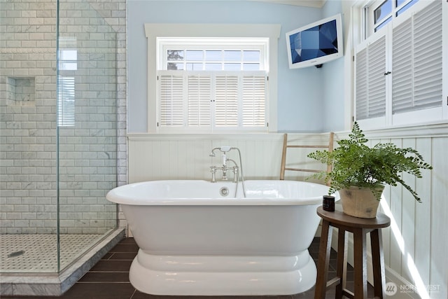 3119 108th Ave SE, Bellevue, WA 98004 - bathroom featuring a wainscoted wall, a freestanding bath, and a shower stall