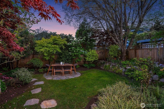 view of yard with a patio and a fenced backyard