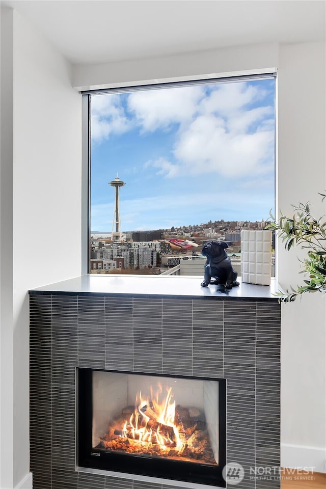 details featuring a tiled fireplace and baseboards