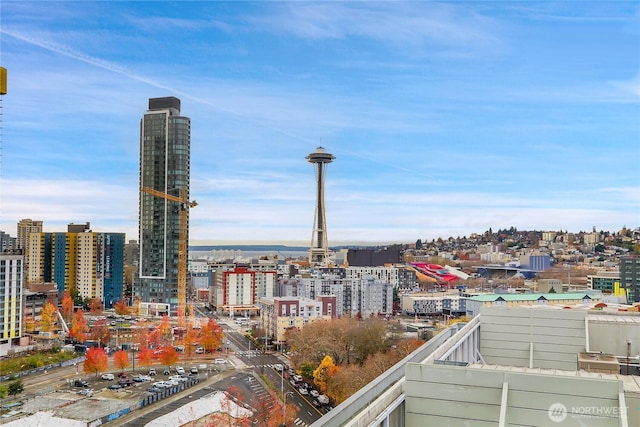 property's view of city