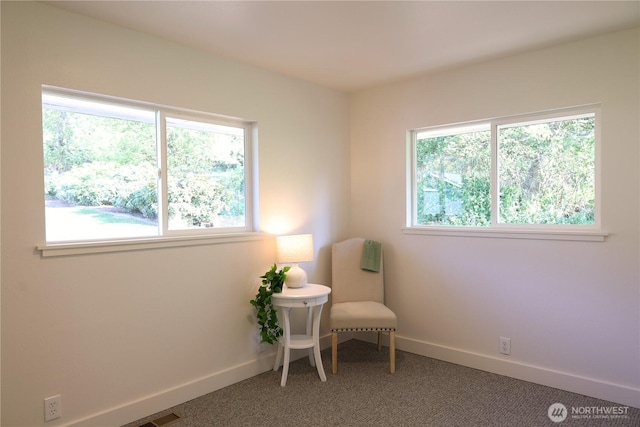 4182 Scatchet View Dr, Clinton, WA 98236 - sitting room with baseboards and carpet floors