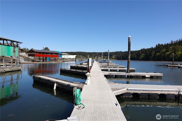4182 Scatchet View Dr, Clinton, WA 98236 - dock area featuring a water view and a view of trees