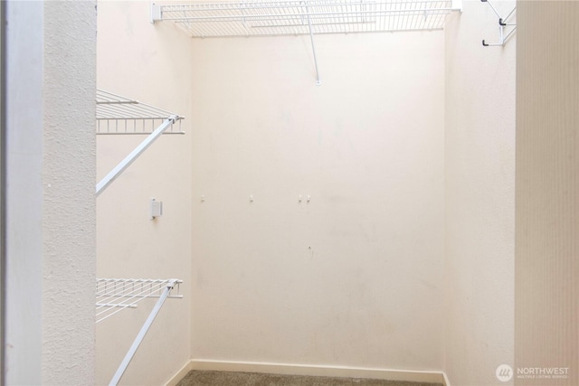 spacious closet featuring carpet floors