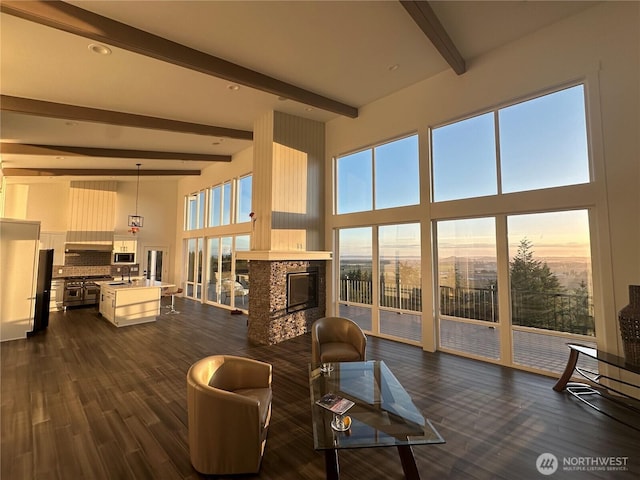 20555 Benson Ridge Ln, Mount Vernon, WA 98274 - living area with a glass covered fireplace, beamed ceiling, healthy amount of natural light, dark wood-type flooring, and a towering ceiling